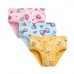 CM-Kid Girl's Underwear Soft Cotton Birefs 6-Pack Cartoon Underpants for Little Girl