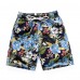 CM-Kid Boys Swim Trunks Beach Shorts Summer Quick Dry Beachwear CM-Kid Boys Swim Trunks Beach Shorts Summer Quick Dry Beachwear