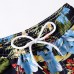 CM-Kid Boys Swim Trunks Beach Shorts Summer Quick Dry Beachwear CM-Kid Boys Swim Trunks Beach Shorts Summer Quick Dry Beachwear