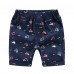 CM-Kid Boys Shorts Quick Dry Beach Board Shorts