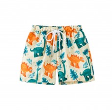 Cm-Kid Boy Dinosaur Swim Trunks Quick Dry Beach Shorts