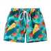 Cm-Kid Little Boy Swim Trunks Quick Dry Elastic Waist Swim Shorts