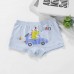 CM-Kid Toddler Boy Dinosaur Underwear Cotton Underpants 5 Packs Boxer Briefs