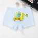 CM-Kid Toddler Boys Dinosaur Underwear Kids Cotton Underpants 5 Pack Boxer Briefs