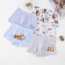 CM-Kid Toddler Boy Dinosaur Underwear Cotton Underpants 5 Pack Boxer Briefs