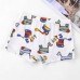 CM-Kid Toddler Boy Dinosaur Underwear Cotton Underpants 5 Pack Boxer Briefs
