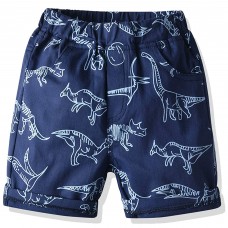 CM-Kid Toddler Boy Shorts Dinosaur Summer Quick Dry Trunks