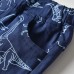CM-Kid Toddler Boy Shorts Dinosaur Summer Quick Dry Trunks