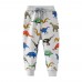 CM-Kid Boys Sweatpants Dinosaur Sports Joggers Loose Active Playwear