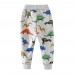 CM-Kid Boys Sweatpants Dinosaur Sports Joggers Loose Active Playwear