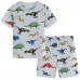 POPTEM Toddler Pajamas Boy Dinosaur Pjs Short Sleeve Cotton Sleepwear Sets 2-Pieces Grey